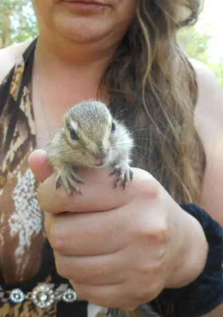 Я Женя, 44, из Усть-Илимска, ищу знакомство для дружбы